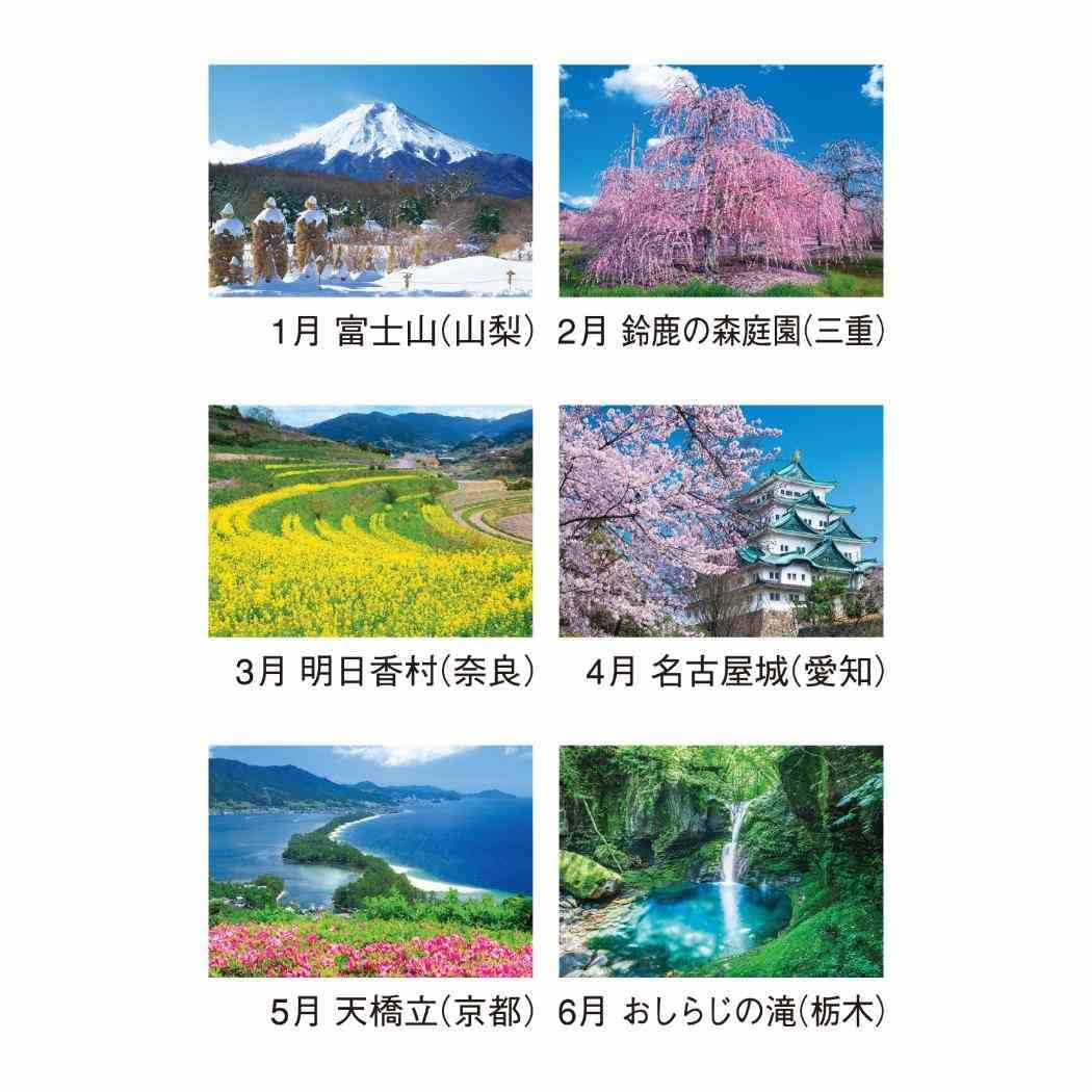 【ぬまぞう】　フィルム四季の庭園　　　　　　2025年度　壁掛けカレンダー ぬまぞう様専用】 フィルム四季の庭園 2025年度 壁掛けカレンダー